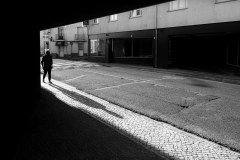 Luz e sombras | Light and shadows