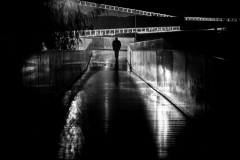 Só, num caminho de luz | Alone, on a path of light