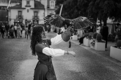 Rapinando | Preying