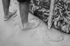 Estancados em frémitos salgados | Stuck in salty tremors