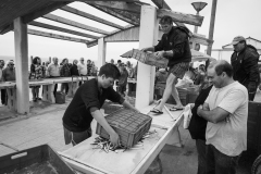 Preparando a banca do peixe | Preparing the fish stand