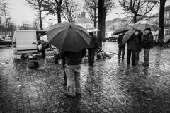 Negócios à chuva | Business in the rain