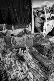 Vida de mercado | Marketplace life