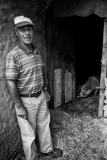 O porco malhado | The Spotted Pig