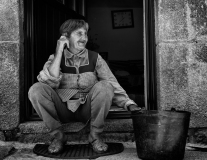 O balde de ameixas | The bucket of plums