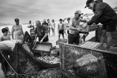 Peixe e Carne | Fish and Meat