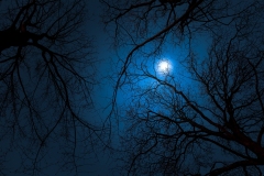 Ao cair da noite | At nightfall