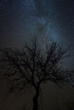 Noite estrelada | Starry, starry night