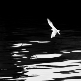 Meu mar | My sea