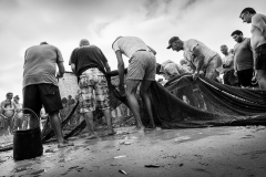 Tramas de um mundo salgado | Plots of a salty world