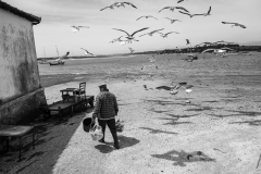 Braços de mar | Sea arms